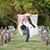 Talisha Rowley's profile image