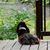 JoEllen Gillooley's profile image