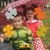 Cindy Mashaw's profile image