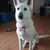 Cherri Shepard's profile image
