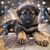 Heidi Anderson Besse's profile image