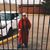 RuthAnne Boutwell's profile image