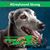 Wendi Tremblay's profile image