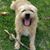 Dee Schuiling's profile image