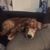 Manolo Manol Manol's profile image
