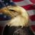 Ed Eades's profile image