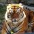 Shirley Hodak's profile image