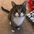 Jeanne Brown's profile image