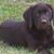 Tina Brooklyn Palmer's profile image