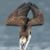 Jake Hertzler's profile image