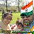 Bina Patel's profile image