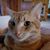 Geraldine King Savianeso's profile image