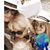 Sylvie Engel's profile image