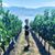 Gabrielle Karpyshyn's profile image