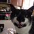 Barbara Brenholts Berendt's profile image