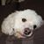 Peg Shelton's profile image