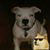 Cheryl Beth Noder Sutherlin's profile image