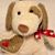 Teresa Rios's profile image