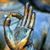 Kelly Legge's profile image