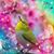 Lisa Freeman's profile image
