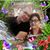 Jever Elopre's profile image