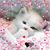 Deb Munro's profile image