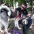 Cody Frazee's profile image