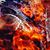 Edward R. Felts's profile image