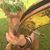 Loren Nellie Coffman's profile image