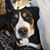 Angie Moyer's profile image