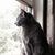 Dawn Leinberger's profile image