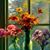 Aimee Trimble's profile image