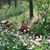Ann Sandberg's profile image
