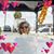 Suzi Niemi's profile image