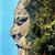 David Becker's profile image