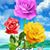 Naseem Sayani's profile image