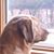 Bob Magnuson's profile image