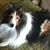 Sue Buttermore's profile image