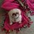 Susan Chandler Oldham-Bessette's profile image