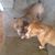 Maria Bowley English's profile image