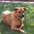 Cynthia Delatorre Merriman's profile image