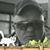 Timothy B. Salisbury's profile image