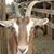 Beverly Evens's profile image