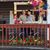 Cheryl Tienter Holub's profile image