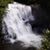 Patricia B. Hinton's profile image