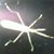 Sara M. Schmidt's profile image