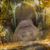 Chely Escalante's profile image