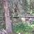 Lynn Letherer-Sugden's profile image