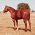 Davie Key's profile image