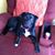 Patricia J Durkin's profile image